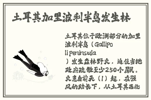 好**草这里只有精品